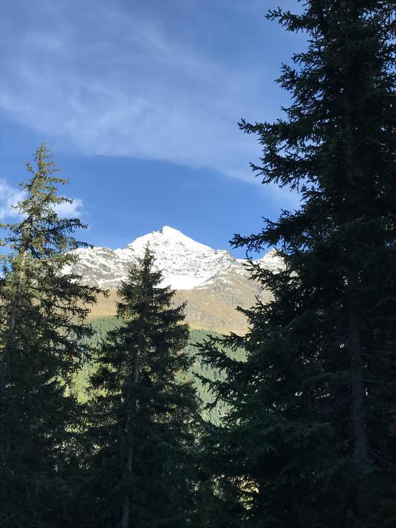 Agriturismo Malga Dell'Alpe Villa Valfurva Exteriör bild
